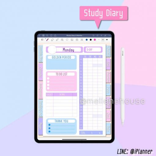 study diary